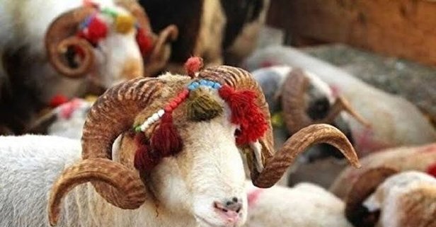 Kurban Bayramını mı yoksa Ramazan Bayramını mı daha çok seviyorsun?