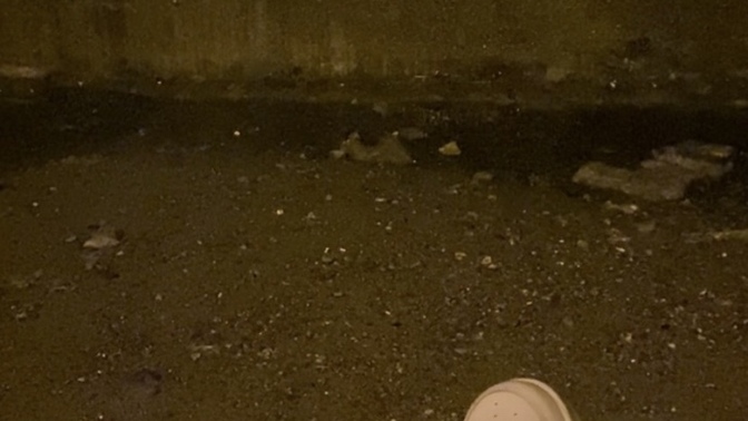 Geceyi mi çok seviyorsun Gündüzü mü?