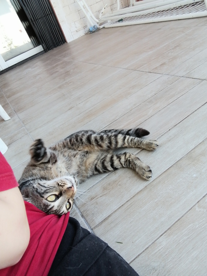 Yengeç burcu erkekler niye bu kadar alıngan ve ilgi bağımlısı?