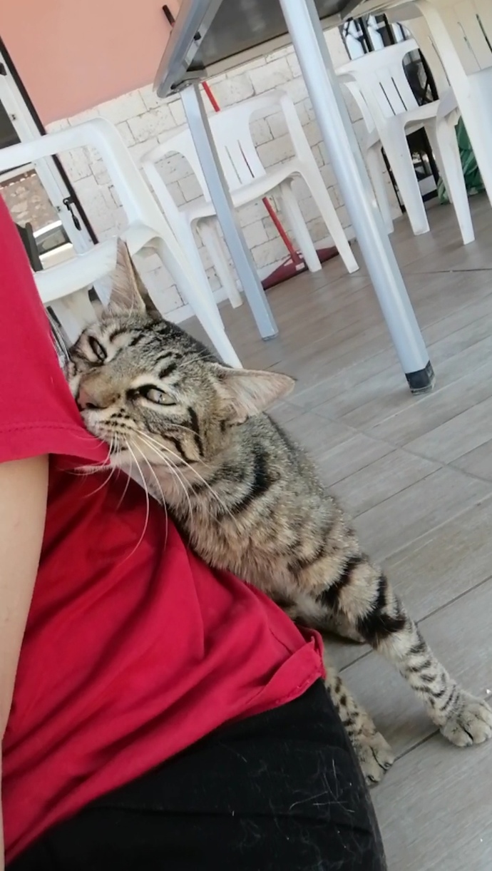 Yengeç burcu erkekler niye bu kadar alıngan ve ilgi bağımlısı?