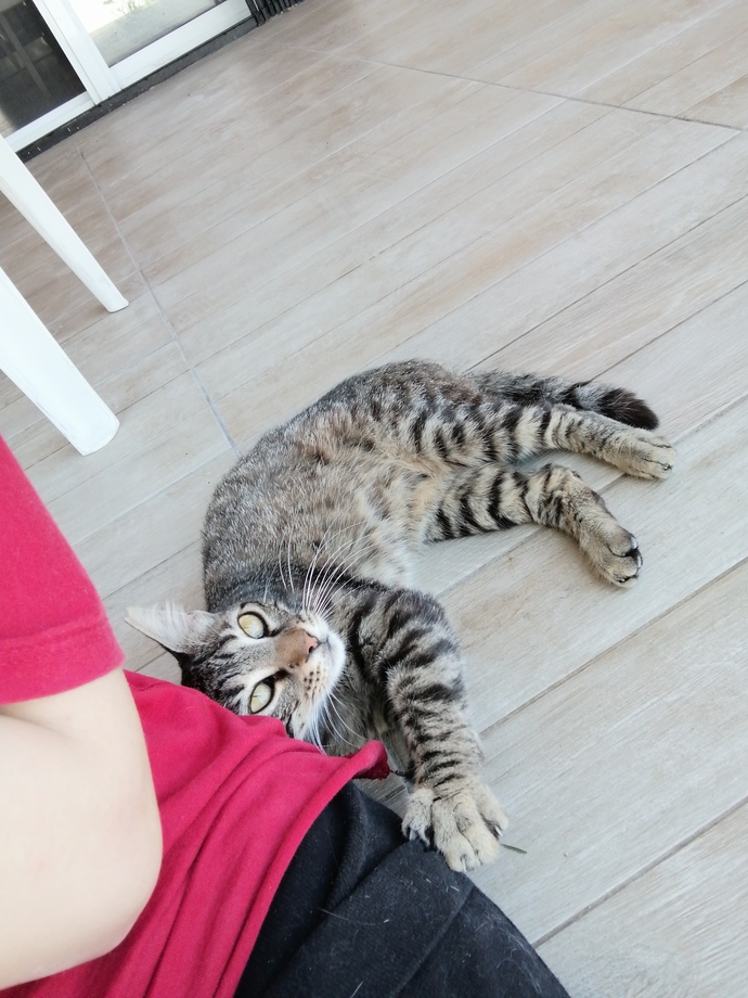 Yengeç burcu erkekler niye bu kadar alıngan ve ilgi bağımlısı?