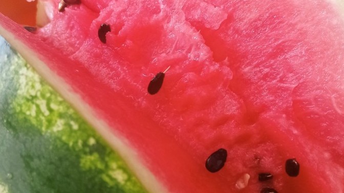 Karpuzun iyisini seçebiliyor musun🍉🍉?