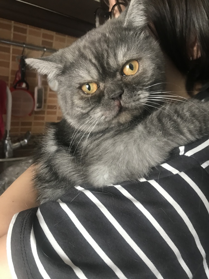 Aşkım çok yakışıklı değil mi?