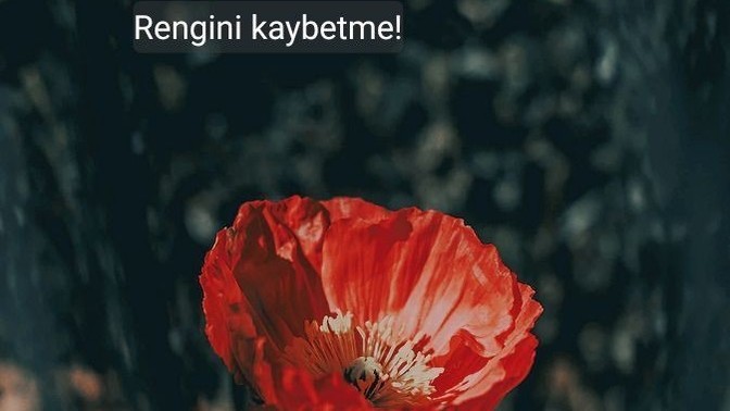 Sahip olduğunuz olumlu ve olumsuz yönleriniz nelerdir?