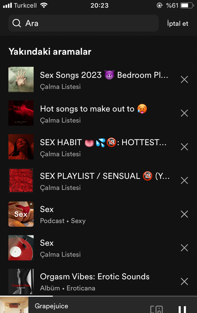 En sonki Spotify arama listeniz nasıl?