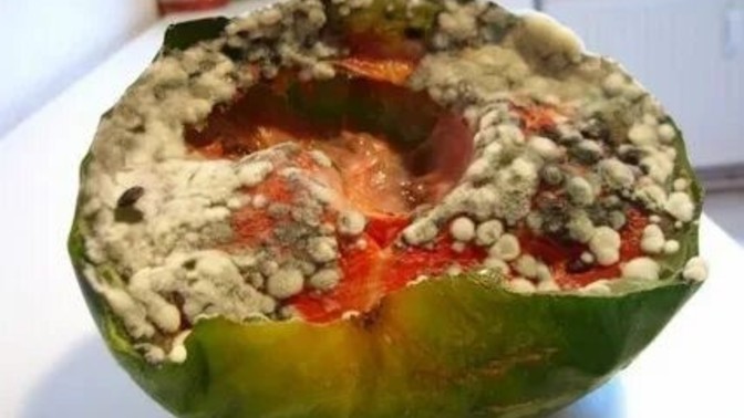 Bu karpuz yenir mi?
