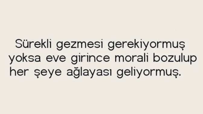 Sizce görsel deki anlatılan burç hangi burç idir?