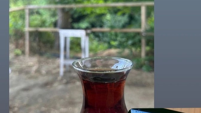 Siz üzmediniz mi?