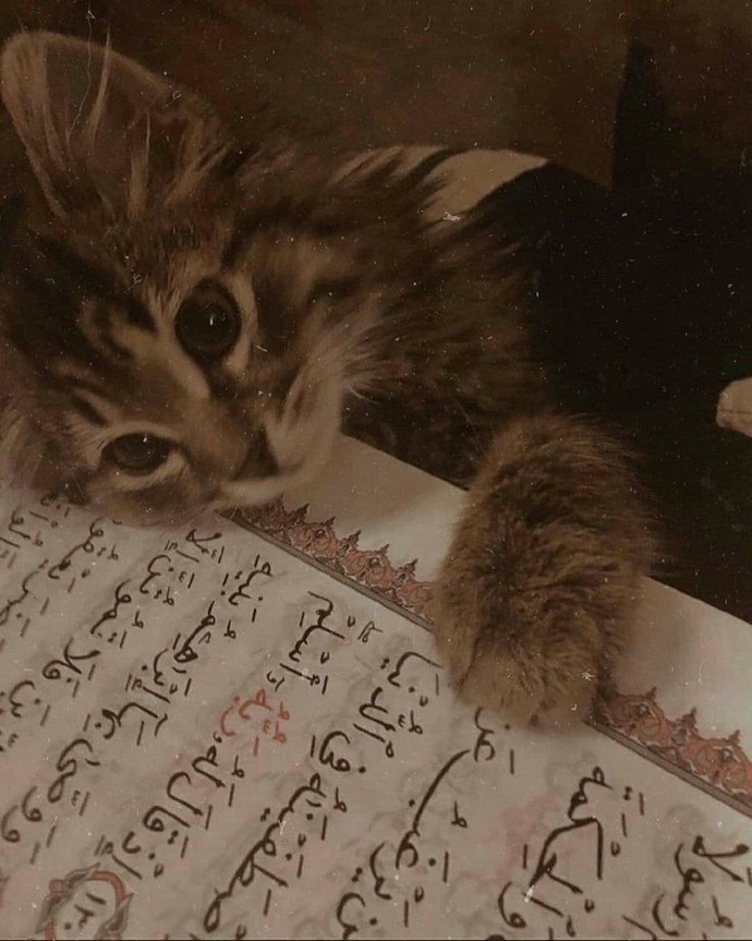 Hafız mısın? Hafız var mıdır burada?