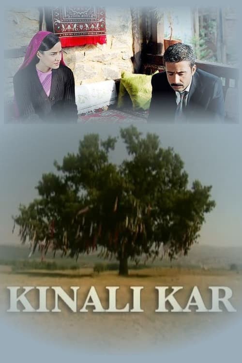 Aşağıdaki dizilerden hangisi daha güzel?