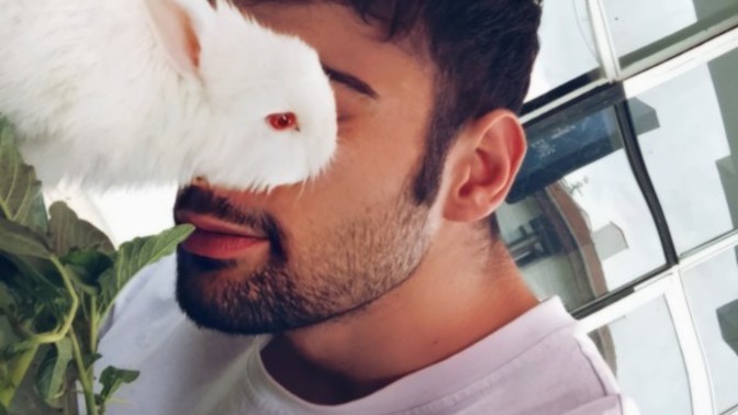 Daha önce tavşan besleyen var mı?