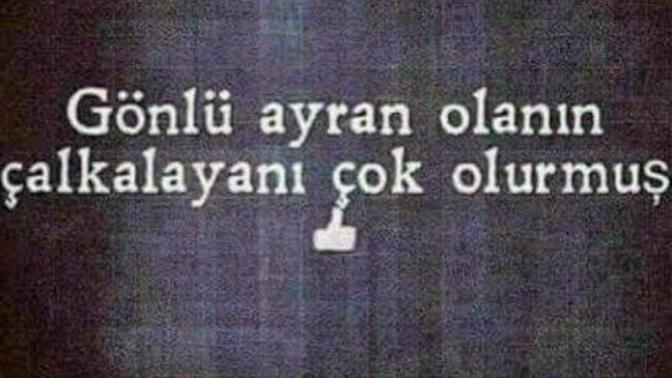 Ayran gönüllü müsün?