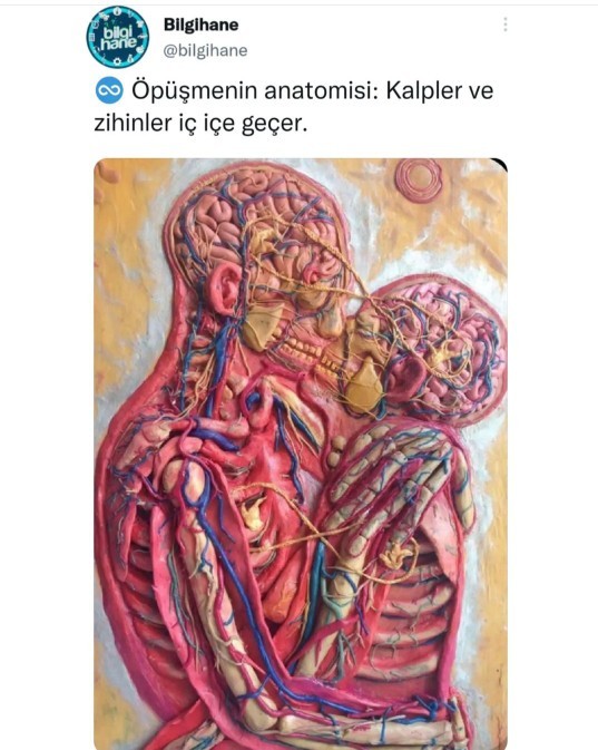 Öpüşmek size anlamlı geliyor mu?