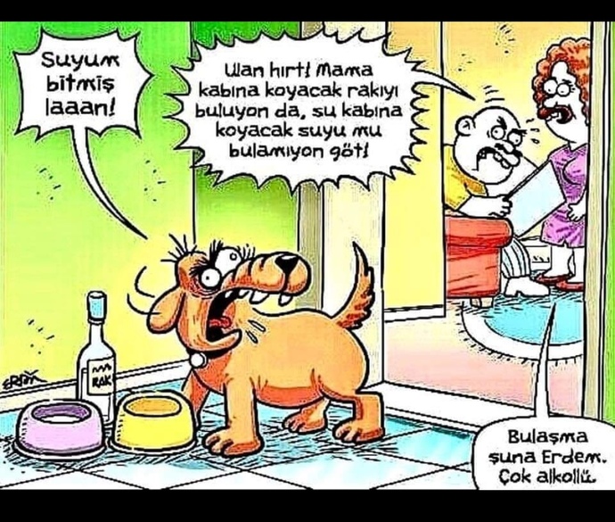 Evcil hayvanlarınız sözünüzü dinliyor mu?