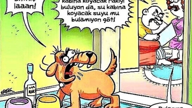 Evcil hayvanlarınız sözünüzü dinliyor mu?