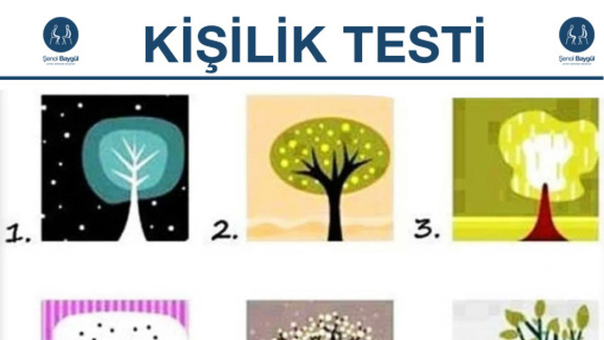 Gördüğünüz ağaç resimlerine dikkatlice bakın ve üzerine çok düşünmeden en beğendiğiniz, kendinize en yakın bulduğunuz ağacı seçin?