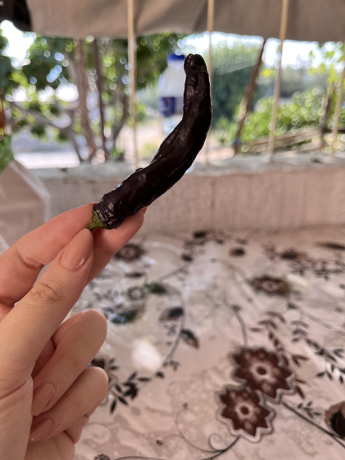 Sizce bu biber ne kadar acıdır?