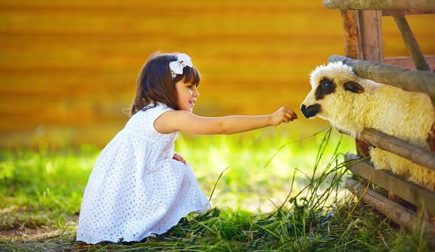 Kurban bayramı çocuğa nasıl anlatılmalı?