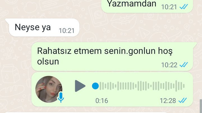 Eski sevgilim böyle yazdı ne yazmaliyim?