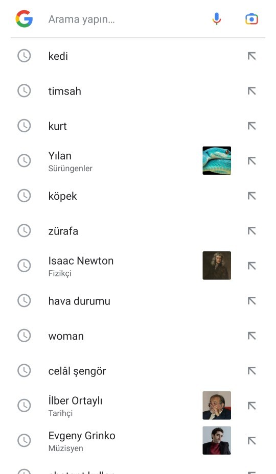 Google geçmişinde neler var?