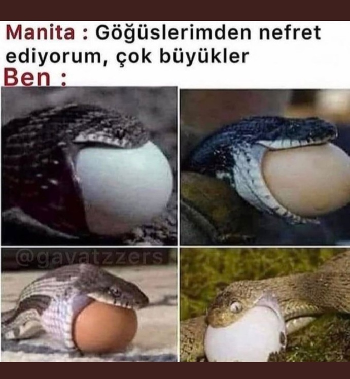 Erkekler gerçekten böyle misiniz ya?