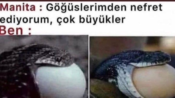 Erkekler gerçekten böyle misiniz ya?