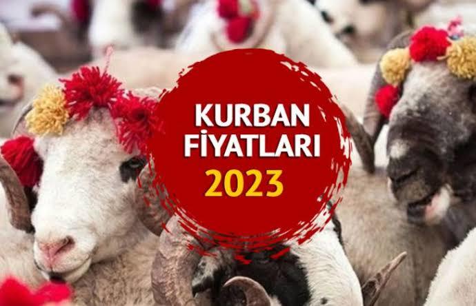Şehrinizde kurbanlık fiyatları ne kadar bilginiz var mı?