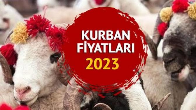 Şehrinizde kurbanlık fiyatları ne kadar bilginiz var mı?