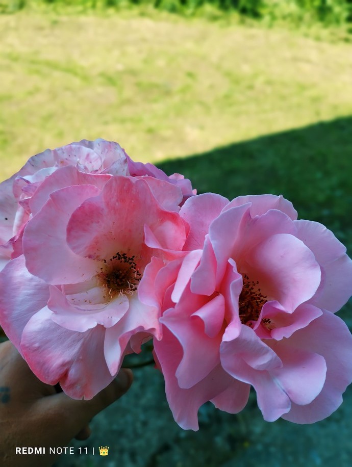 Son olarak neyin fotoğrafını çektiniz?