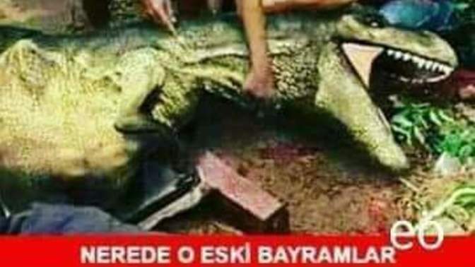 Bu Bayram Ne Kesiyorsunuz Biz Dinozor Kesiyoruz Malum Ekonomimiz Tarih Öncesi Çağlara Gitti?