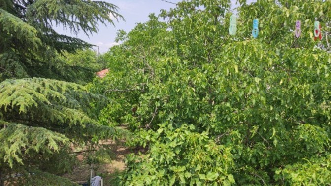 Bayramda nerede olacaksınız? Neler yapacaksınız?