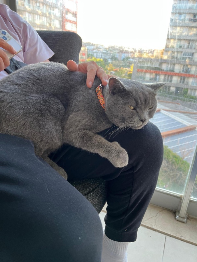 Oğluşum çok tatlı değil mi?