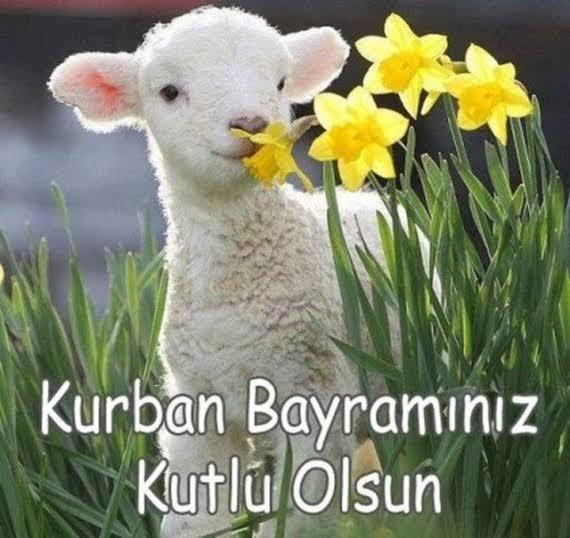 Bayram mesajları başladı mı?