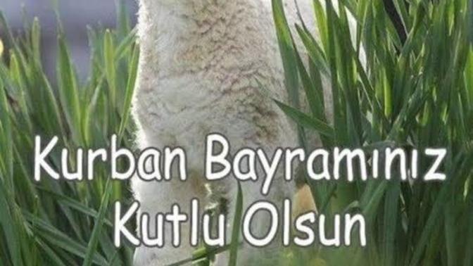 Bayram mesajları başladı mı?
