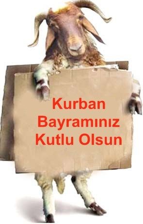 Kavurmayı sulu, beni dolu dolu sevecek bir insan nasıl bulunur?