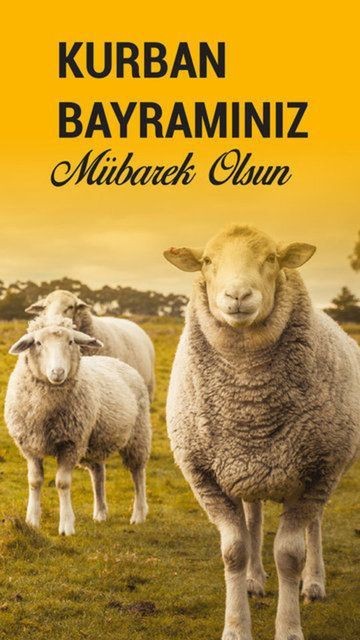 Et yemeyen birisiyle sevgili olur musunuz?