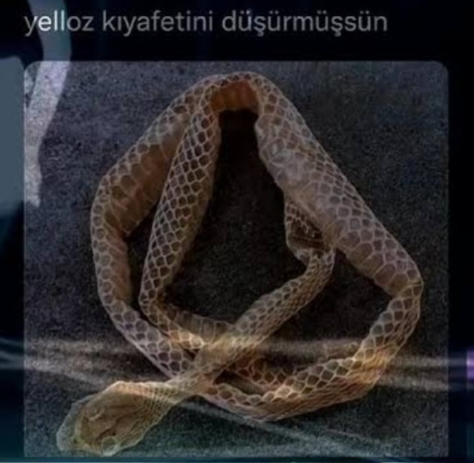 Sinsi insanların en belirgin özelliği nedir?
