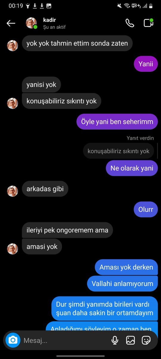 Ne demek istiyor kafam karıştı?