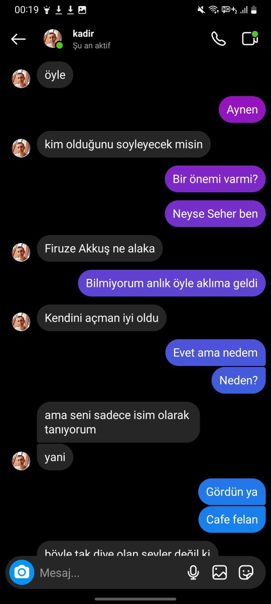 Ne demek istiyor kafam karıştı?