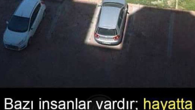 Bu hayatta Şansın % Kaç?