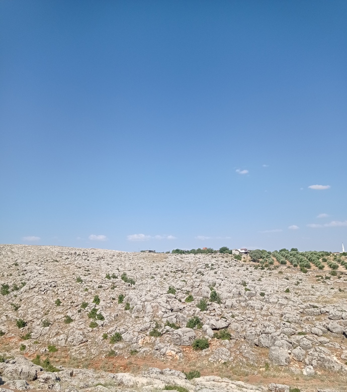 Şu anki manzaranızda neler var?