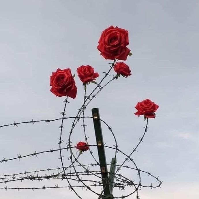 Bir insandan soğumanı sağlayacak sebepler nelerdir?