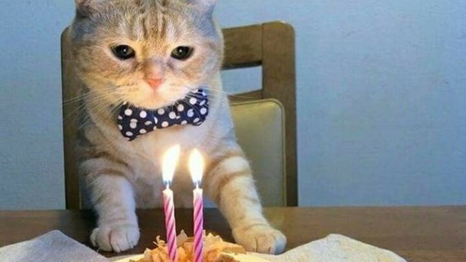 Doğum gününüzü hangi sevdiğinizle geçirmeyi tercih edersiniz?