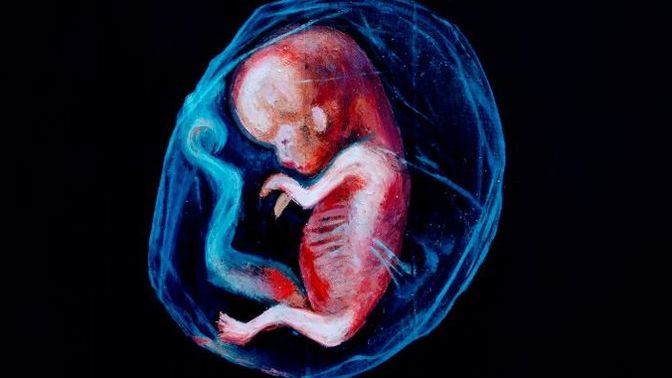 Kendisini bilmeyen, kendi hislerini, düşüncelerinin farkında olmayan bir kişi;Kendinden başka bir canlıyı ya da insanı iyi eder mi?