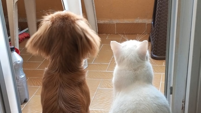 Arkadaşlar tatile gidenler varsa plaj terliğinin altına benim adımı yazabilir mi? Nolur nolur 🤣?