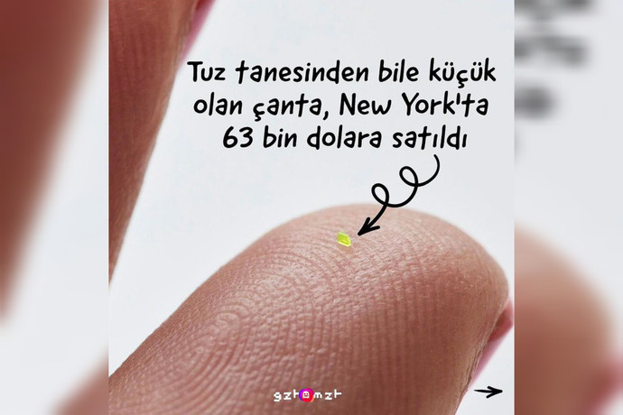 Tuz tanesinden bile küçük olan çanta, New Yorkta 63 bin dolara satıldı! Çok paranız olsa en gereksiz nereye harcama yapardınız?