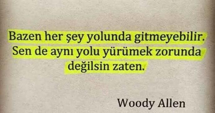 Hayatınızda iyi giden bir şeyler var mı?