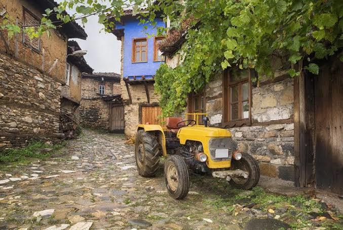 Yazın genelde nereye gidersiniz?