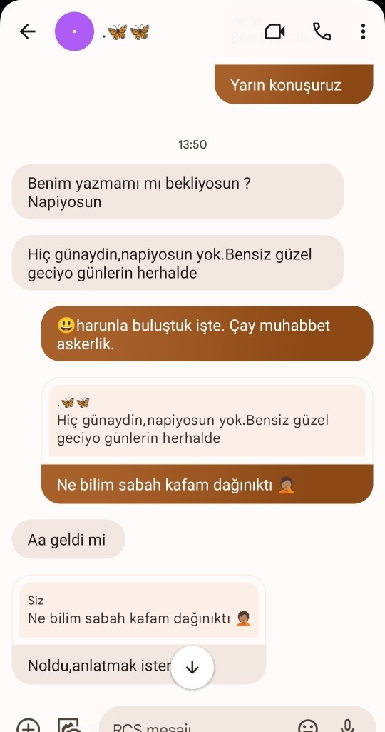 İnsan sevgilisinin sesini duymak istemez mi? Çok mu abartıyorum?