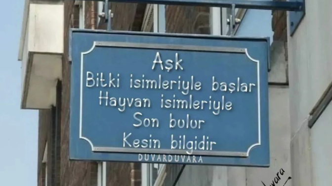 Aşk hangi kelimelerle başlar ve hangi kelimelerle bitiyor senin için?
